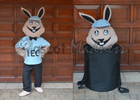 IEC Bunny