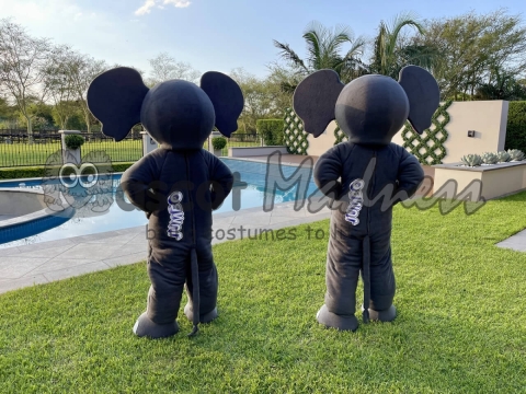 Jumbo-Elephants-Back