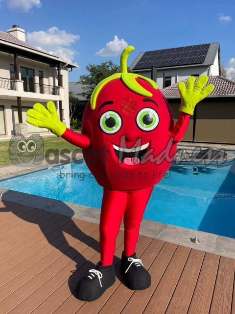 Tomato-Duiwelskloof-Primary-School